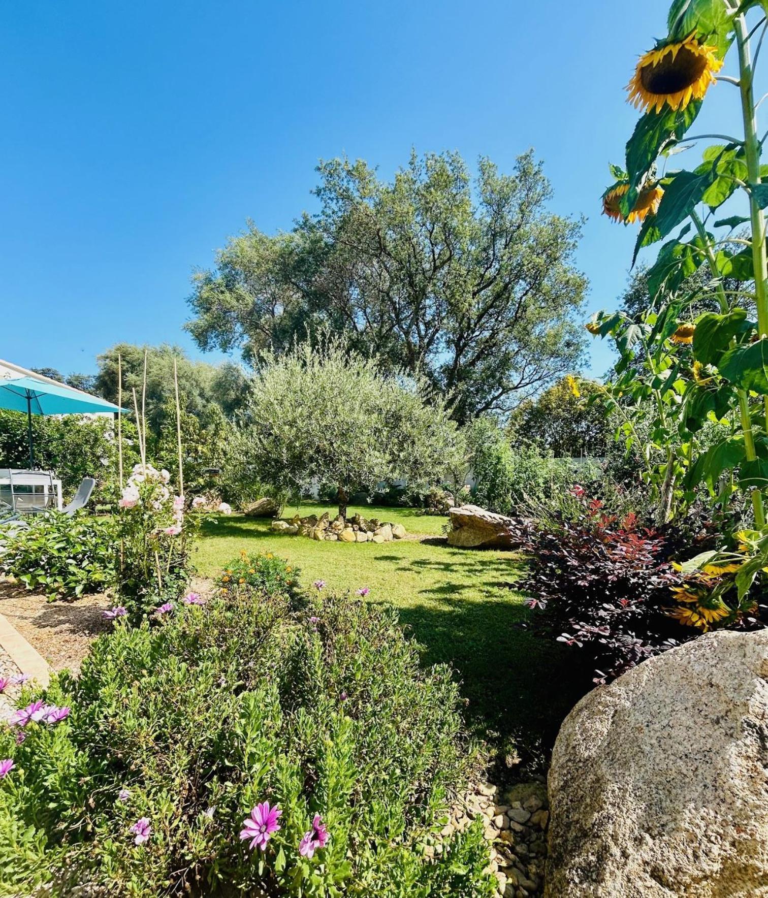 Mini Villa Pascal Paoli Avec Piscine - Proche Mer Prunelli-di-Fiumorbo Екстер'єр фото
